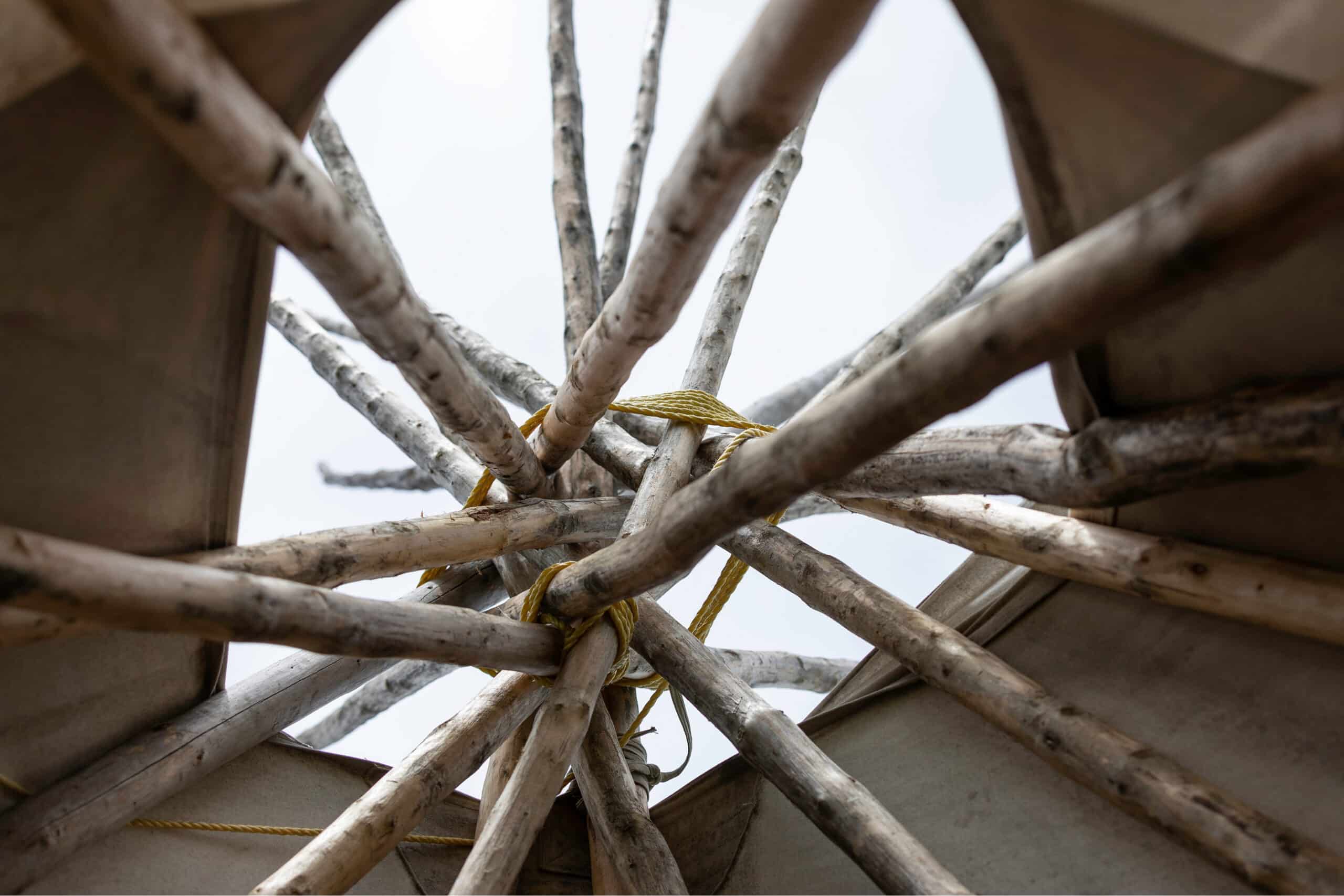 Interior structure of a tipi, looking up towards the apex where the poles are tied together.