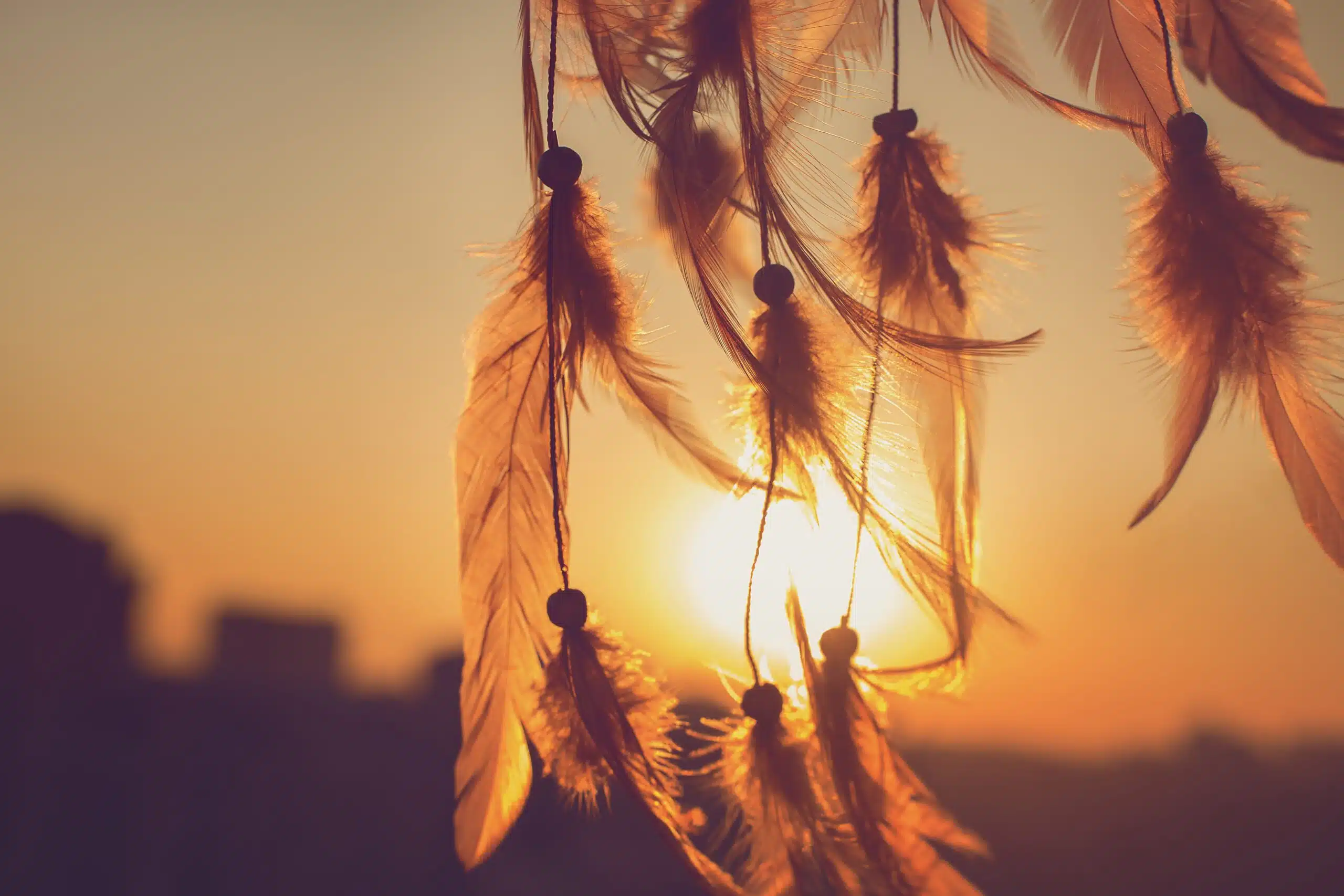 Close up of a dream catcher's feathers against a sunset.