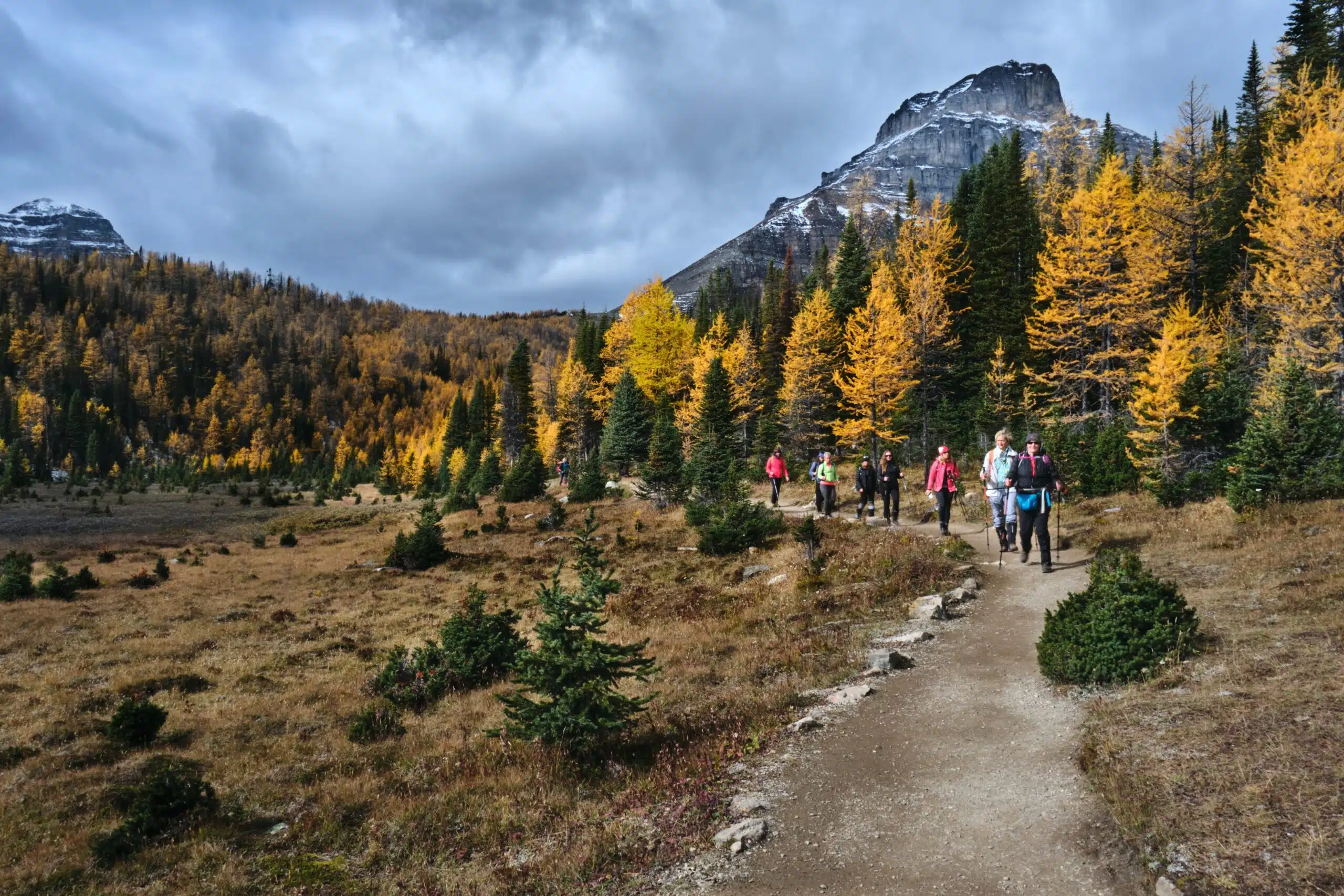 Group of hikers in Larch Valley in Banff National Park, Alberta.