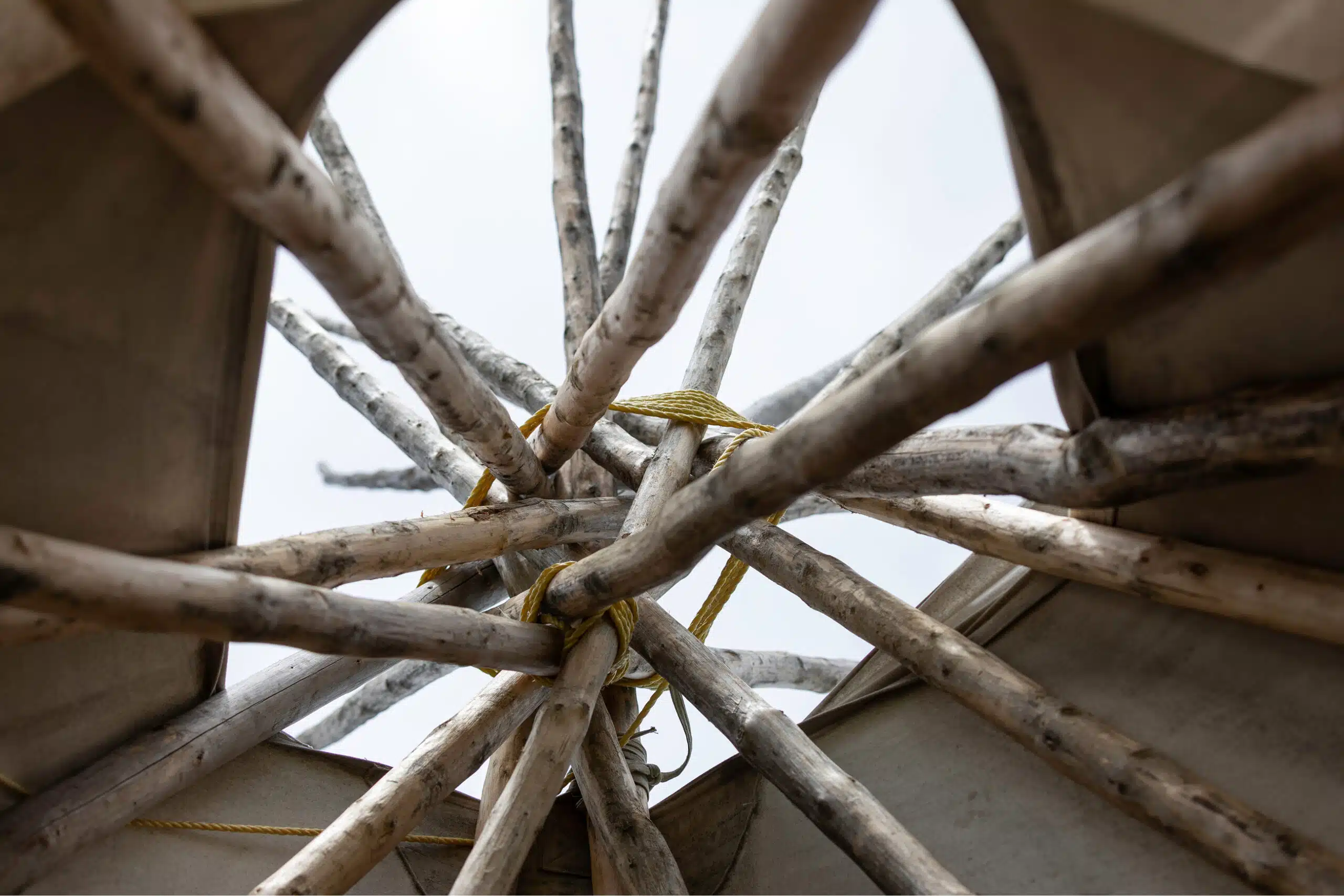 Interior structure of a tipi, looking up towards the apex where the poles are tied together.